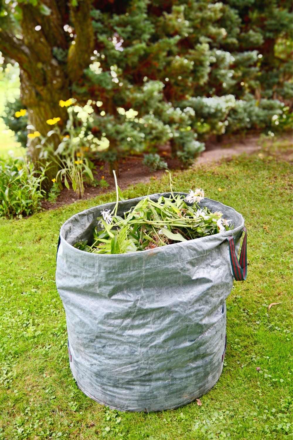 Planting your garden to prevent extra space is one of the most effective organic weed