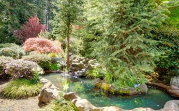 Wonderful Landscape Borders Ideas