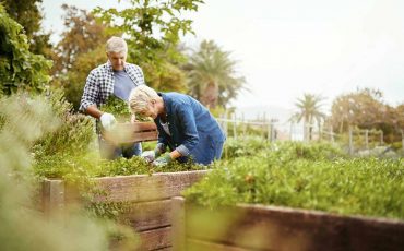 Health Benefits of Organic Agriculture