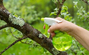 Organic Fertilizers