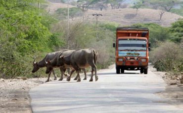 Transport In The Agricultural Domain