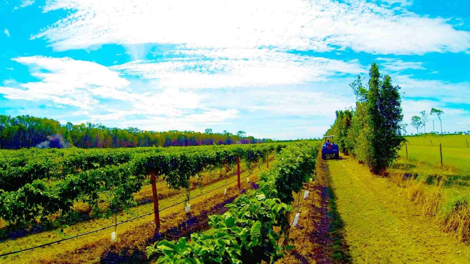 How Can The Farmers Elevate The Productivity Of The Fields By Simple Fertilisation Tracking?