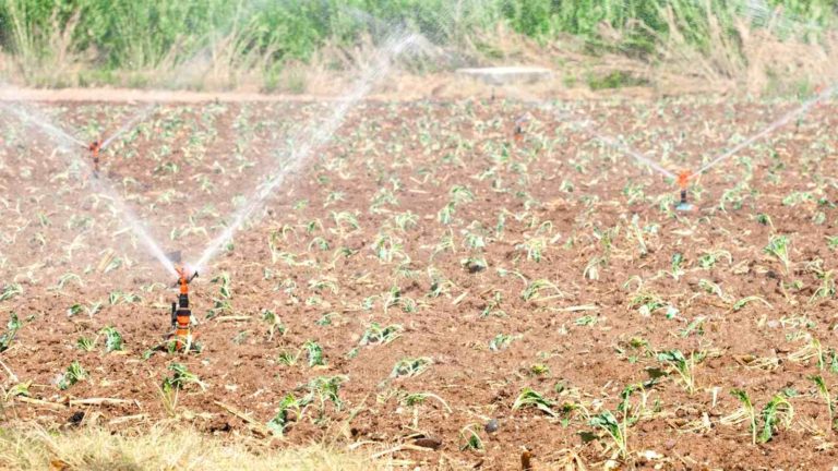 Tools for Saving Water in Farming