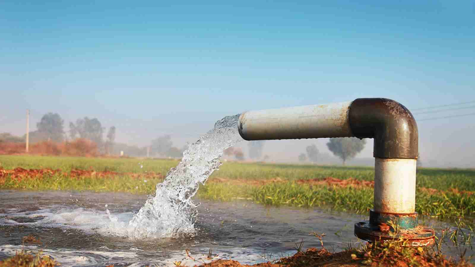What are the climatic conditions necessary to raise wheat all across India